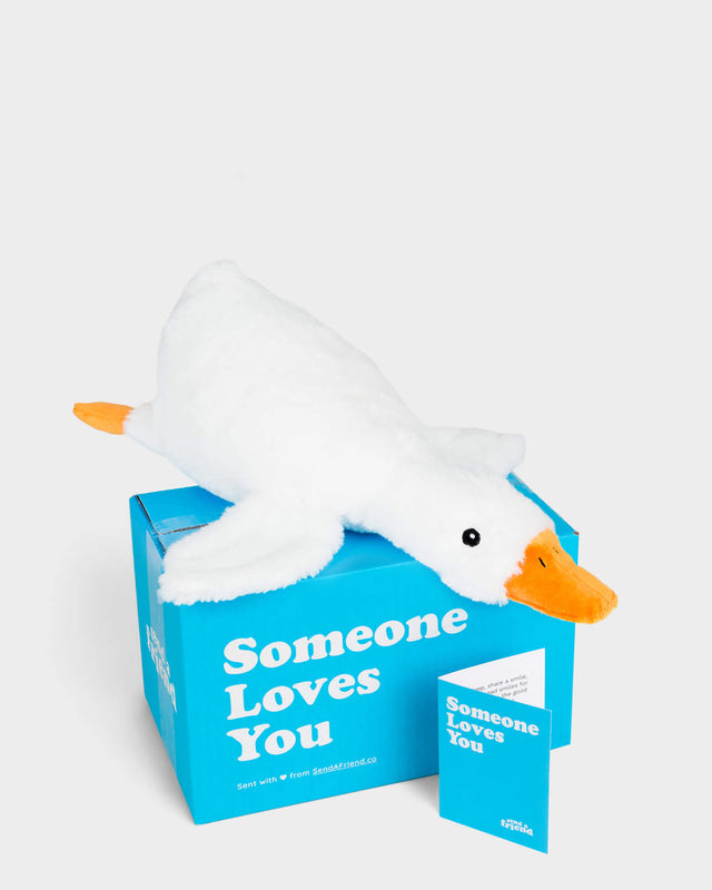 Silas the Silly Goose 🪿