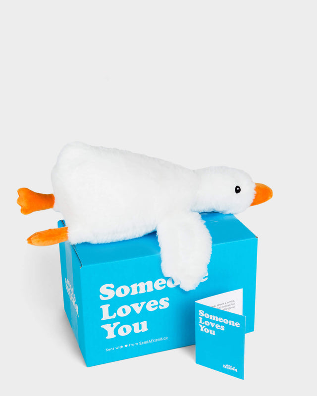 Silas the Silly Goose 🪿