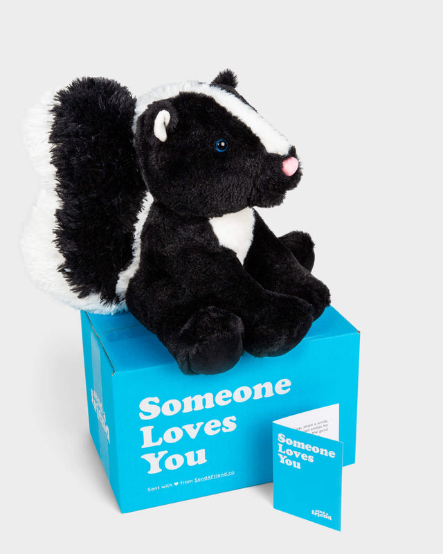 Photo of black and white skunk plushie turned to the right with blue Someone Loves You box and notecard