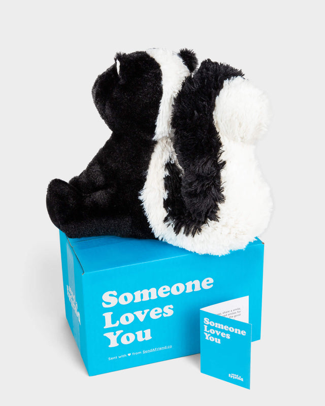 Photo of back of black and white skunk plushie with blue Someone Loves You box and notecard