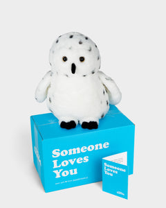 Ollie the Octopus Stuffed Animal Care Package - SendAFriend