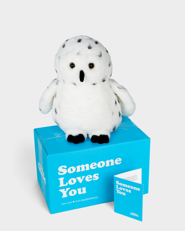 Selena the Snow Owl ❄️🦉