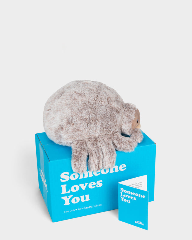 Stella the Spider 🕷️