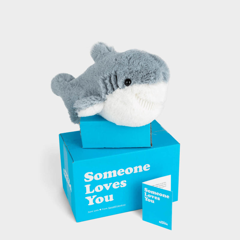 Scooter the Shark 🦈