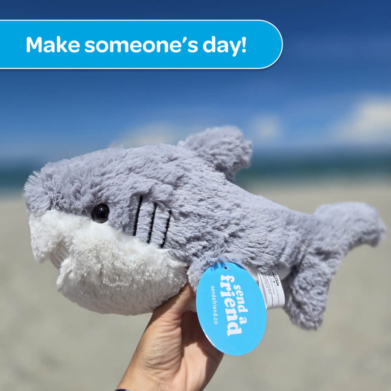 Scooter the Shark 🦈