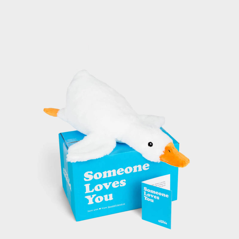 Silas the Silly Goose 🪿