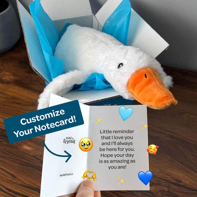 Silas the Silly Goose 🪿