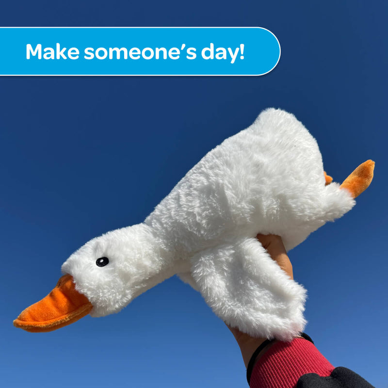 Silas the Silly Goose 🪿