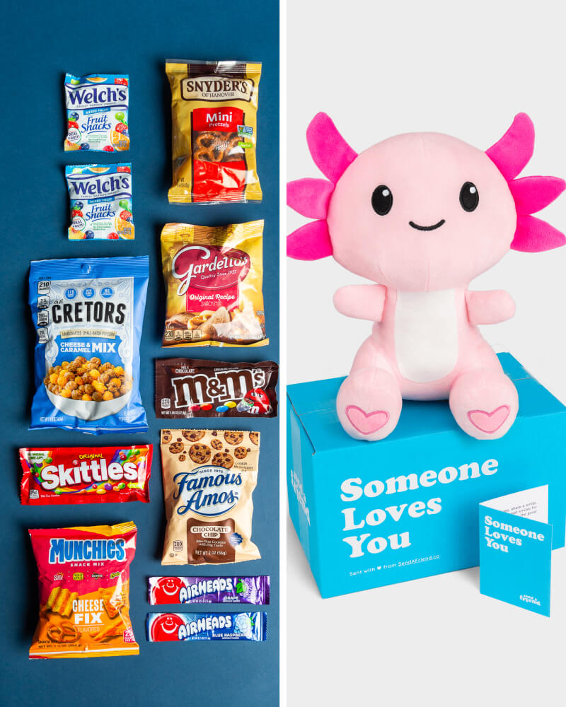 Ultimate Snack Pack | SendAFriend's Stuffed Animal Care Packages