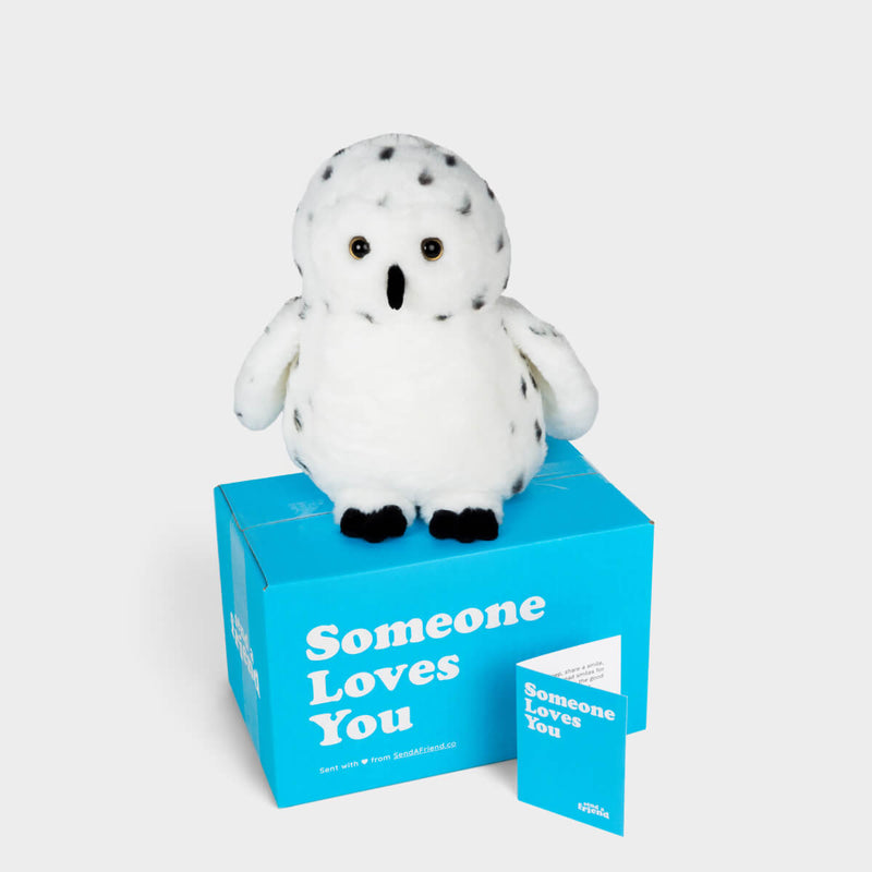 Selena the Snow Owl ❄️🦉