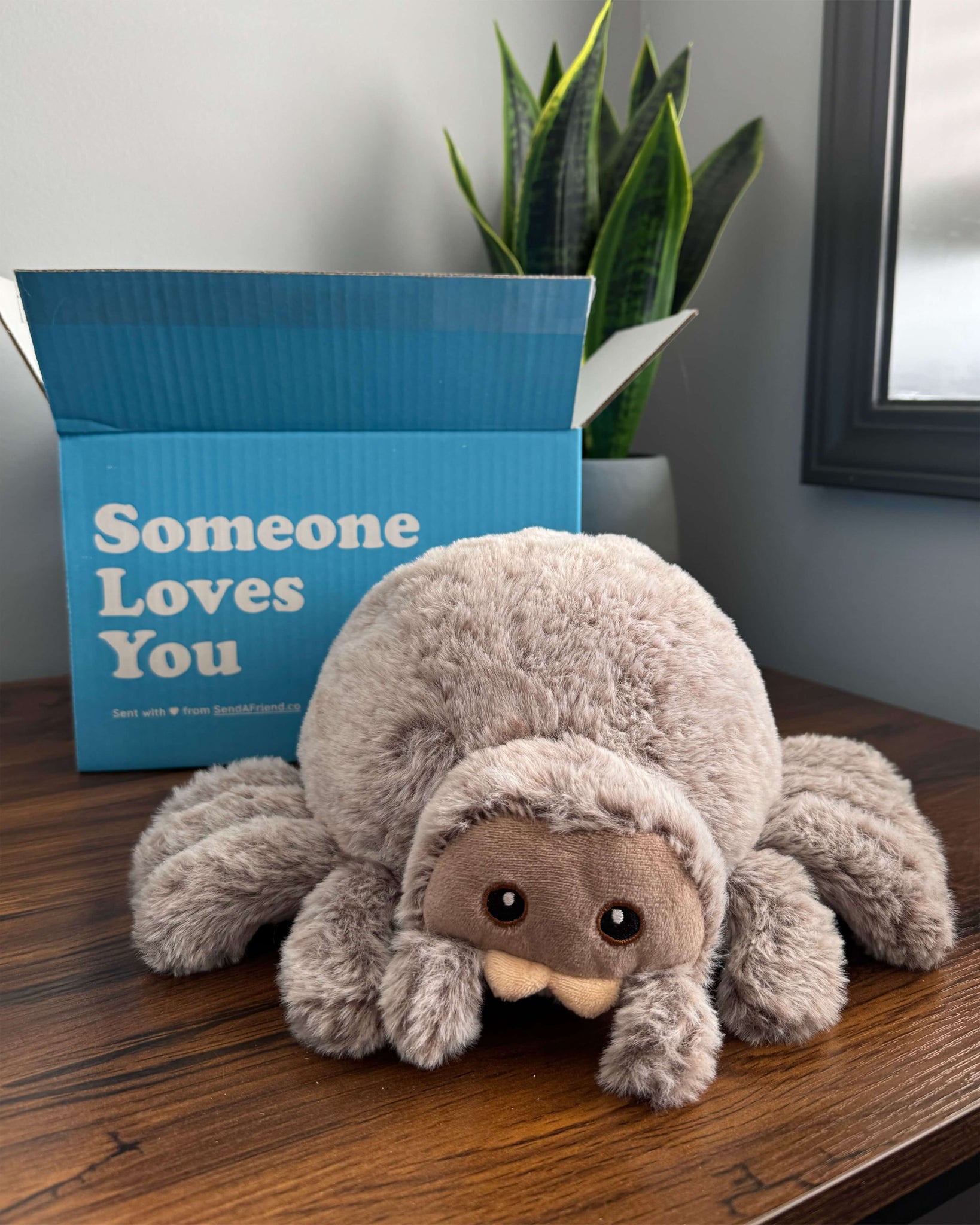 Stella the Spider 🕷️