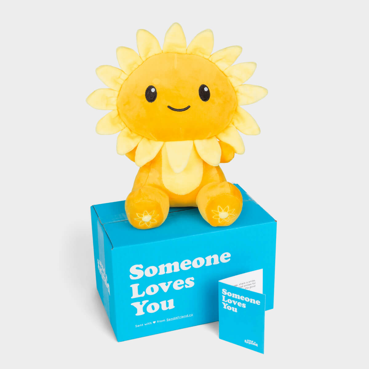 Serenity the Sunflower Axolotl Stuffed Animal Care Package