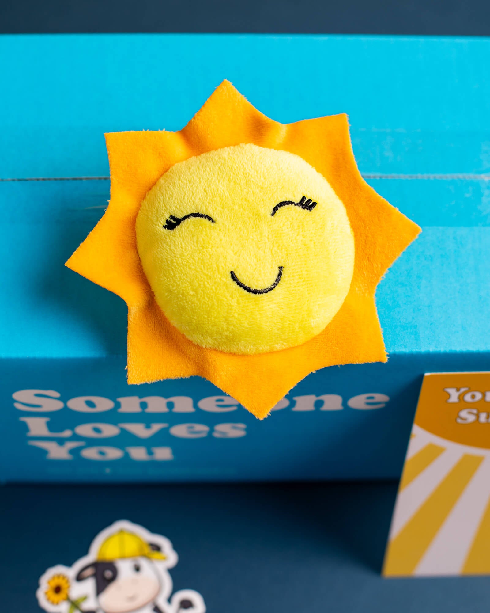 Photo of Sunshine Pillow included with You Are My Sunshine Bundle