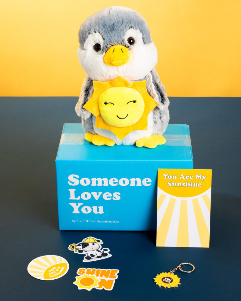 Photo of Pepper the Penguin plushie, You Are My Sunshine Bundle, and Someone Loves You box