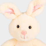 Benny the Bunny 🐰