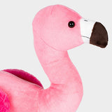 Faye the Flamingo 🦩