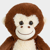 Maria the Monkey 🐵