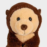 Oliver the Otter 🦦