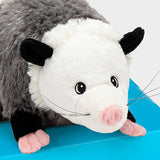 Oodle the Opossum 🩶