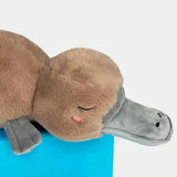 Patrick the Platypus 🤎