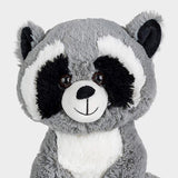 Rosie the Raccoon 🦝