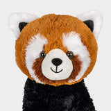 Rusty the Red Panda ❤️