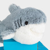 Scooter the Shark 🦈