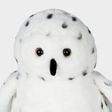 Selena the Snow Owl ❄️🦉