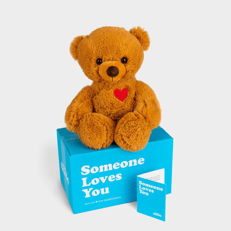 Toby the Teddy Bear 🐻