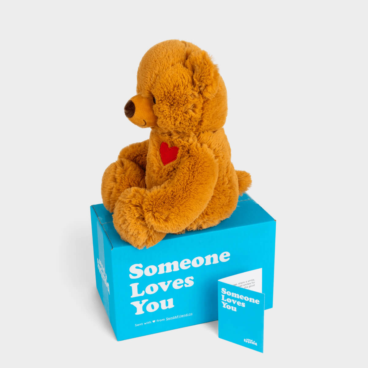 Toby the Teddy Bear Stuffed Animal Care Package - SendAFriend