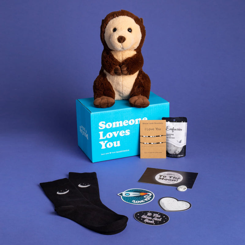 To The Moon & Back Bundle 🌝