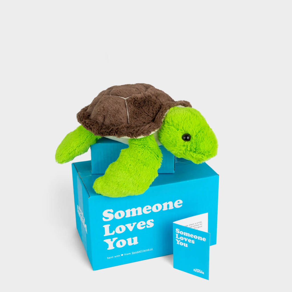 Tucker the Turtle Stuffed Animal Care Package - SendAFriend