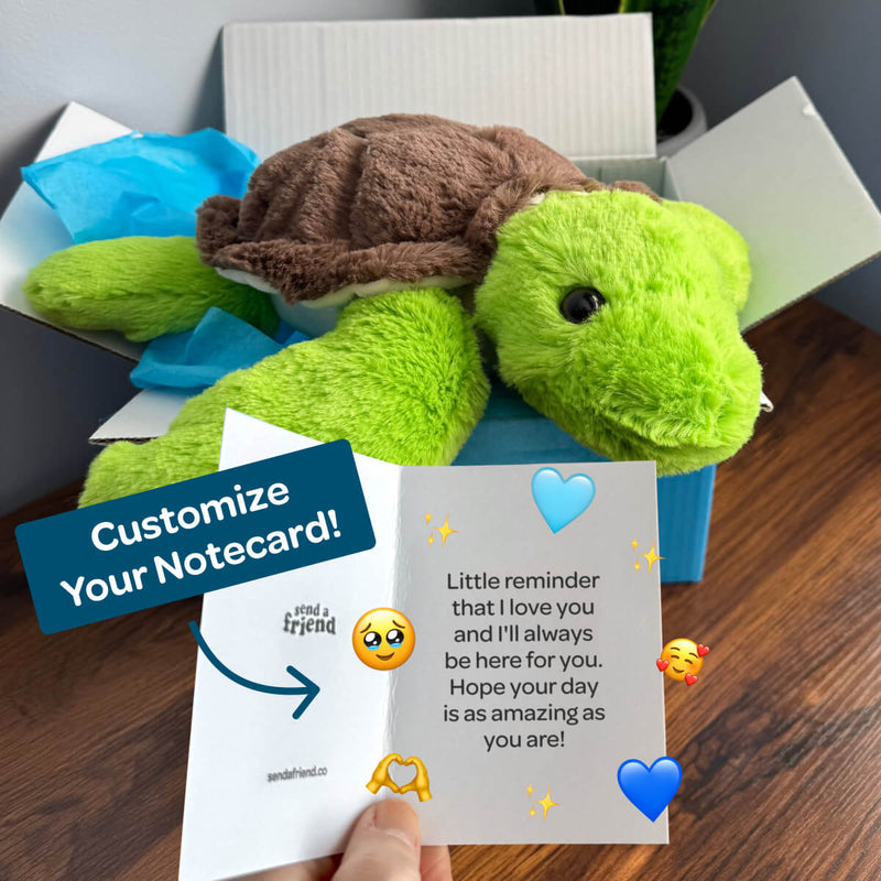 Tucker the Turtle 🐢