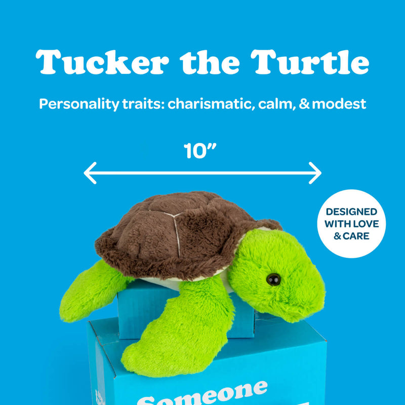 Tucker the Turtle 🐢