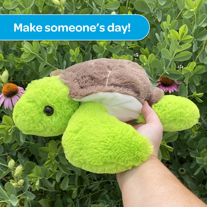 Tucker the Turtle 🐢