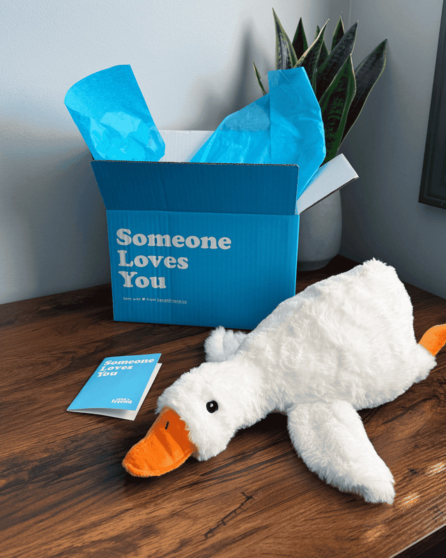 Silas the Silly Goose 🪿