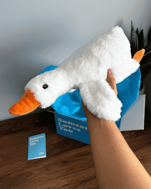 Silas the Silly Goose 🪿