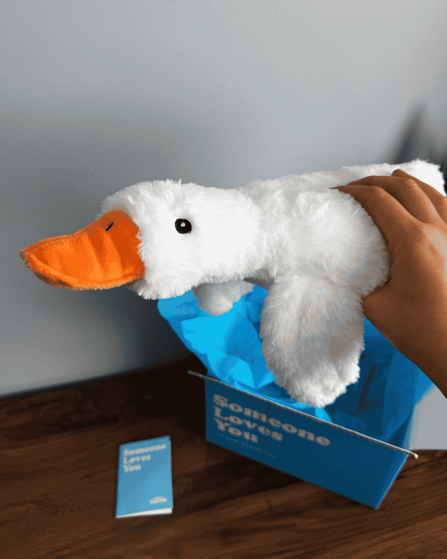 Silas the Silly Goose 🪿