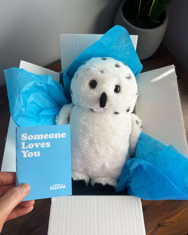 Selena the Snow Owl ❄️🦉