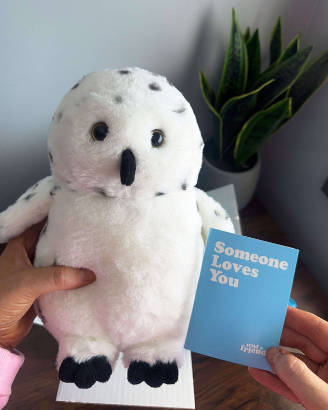 Selena the Snow Owl ❄️🦉