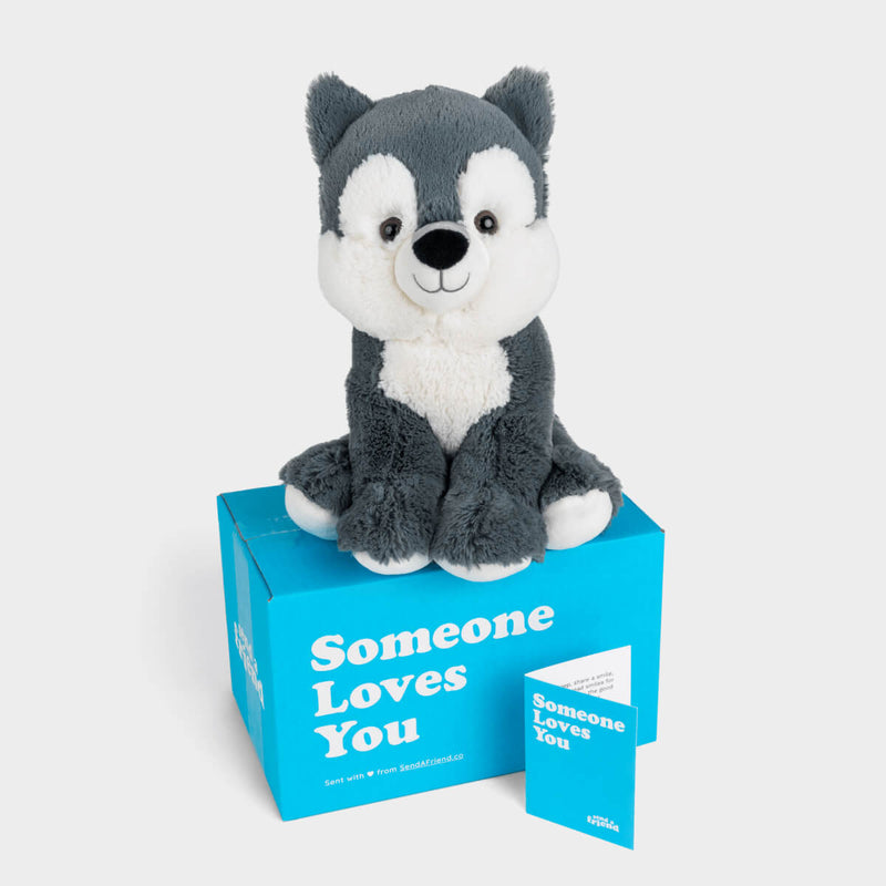 Winston the Wolf 🐺