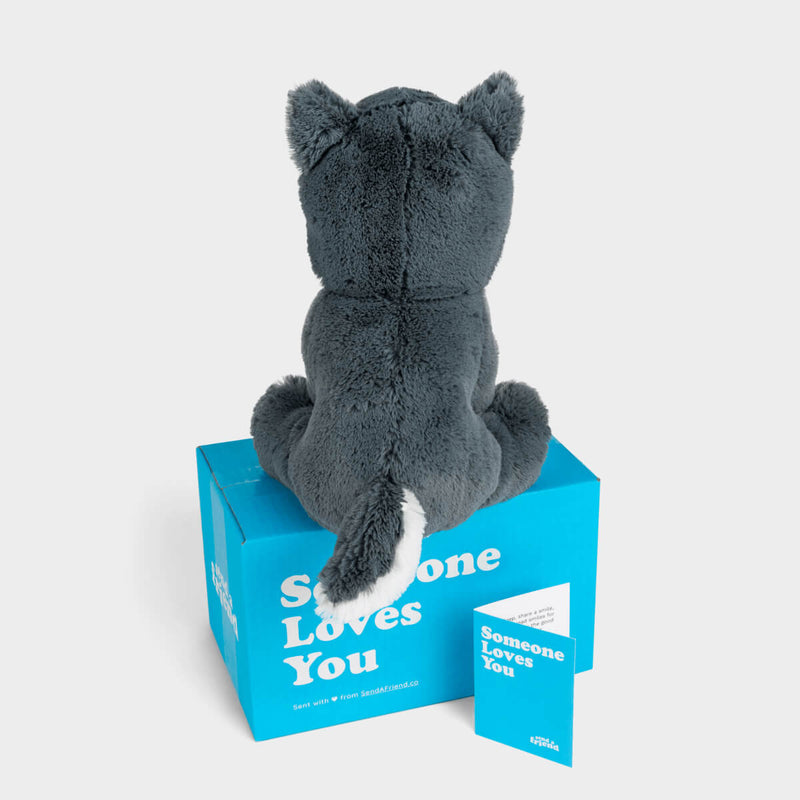 Winston the Wolf 🐺