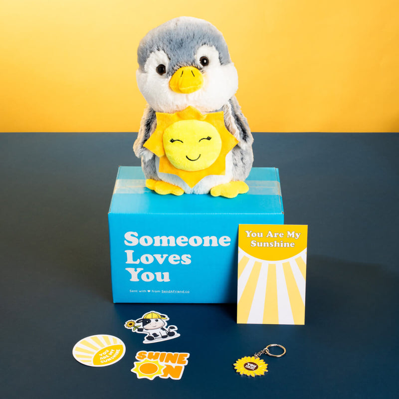 You Are My Sunshine Bundle 🌞