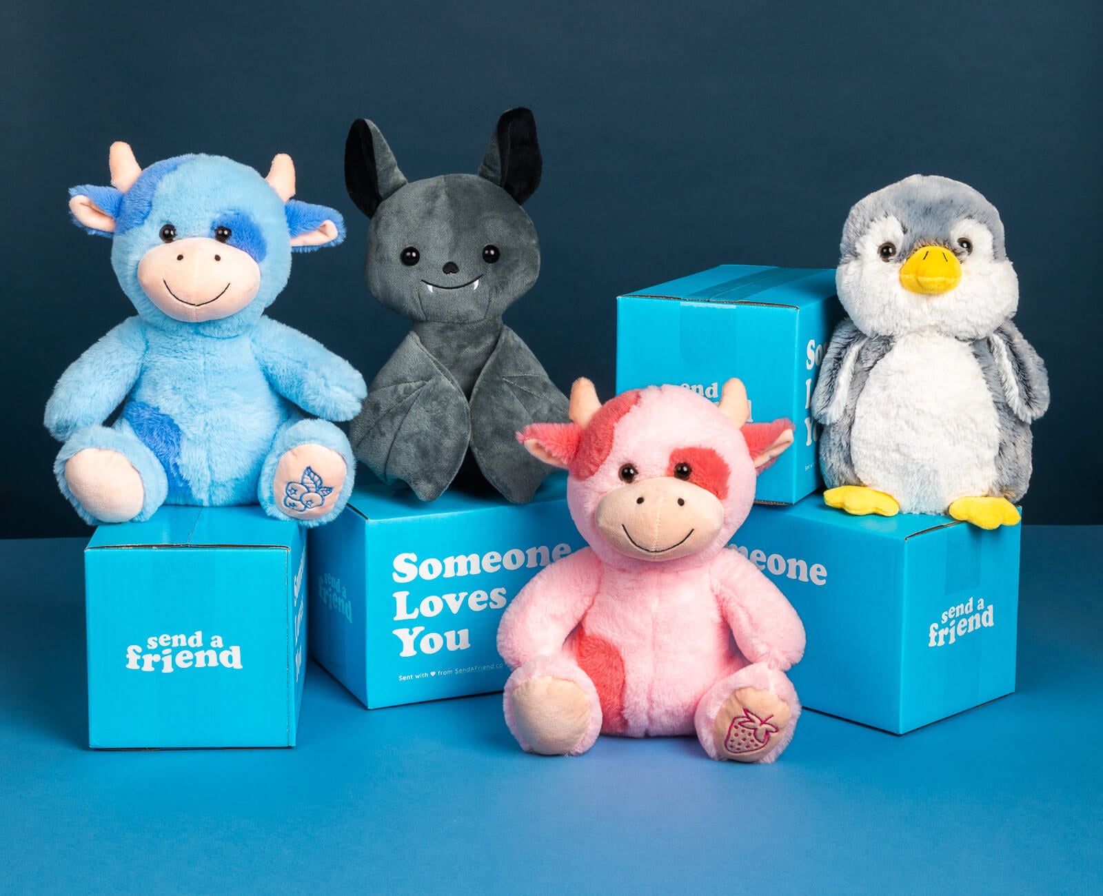 Send a Stuffed Animal Gift & Care Package | SendAFriend