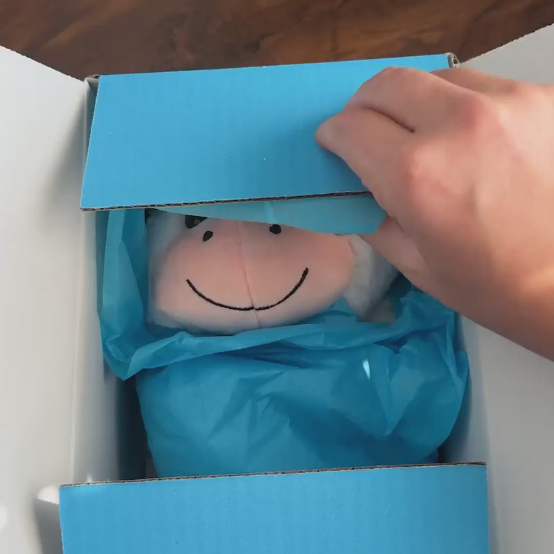 プラクルアン 牛のミルクを飲む虎 ヌードーノムスア 超レア品 愛 恋愛 御守り Cooper the Cow Stuffed Animal Care Package - SendAFriend