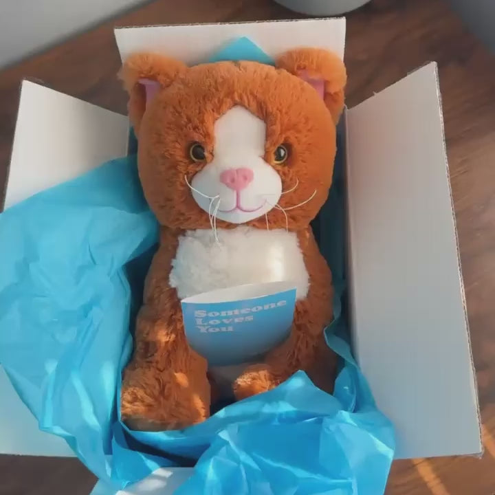 Kiwi the Kitten Stuffed Animal Care Package - SendAFriend