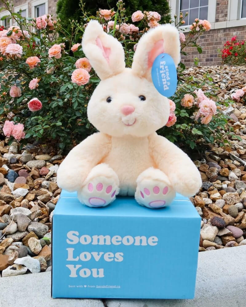 Photo of white Benny the Bunny sitting on Someone Loves You Box with rose bushes and rocks in the background. 