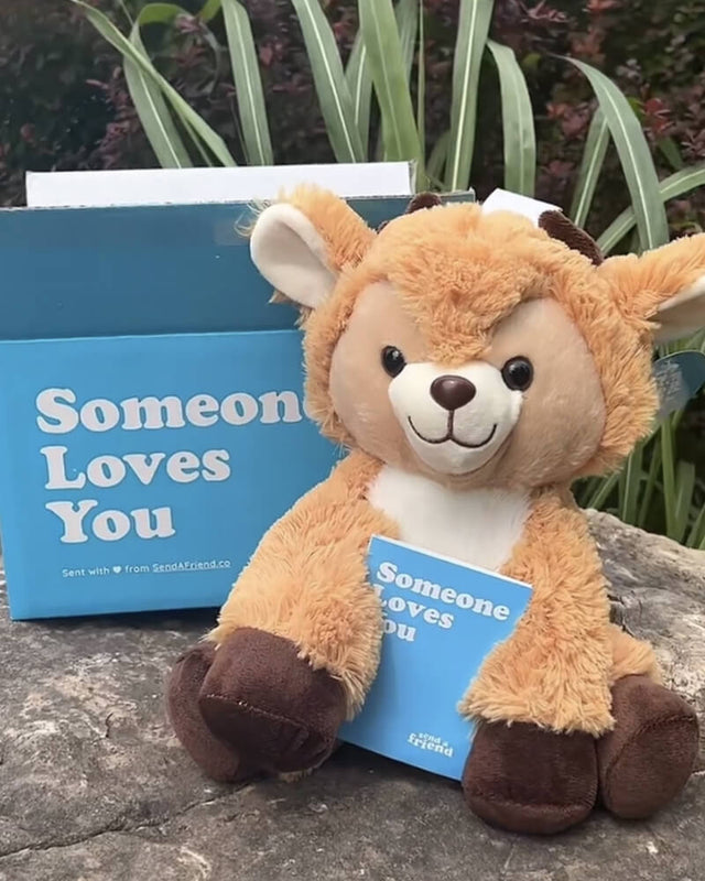 Photo of brown Daphne the Deer plushie sitting outdoors with Someone Loves You box and notecard