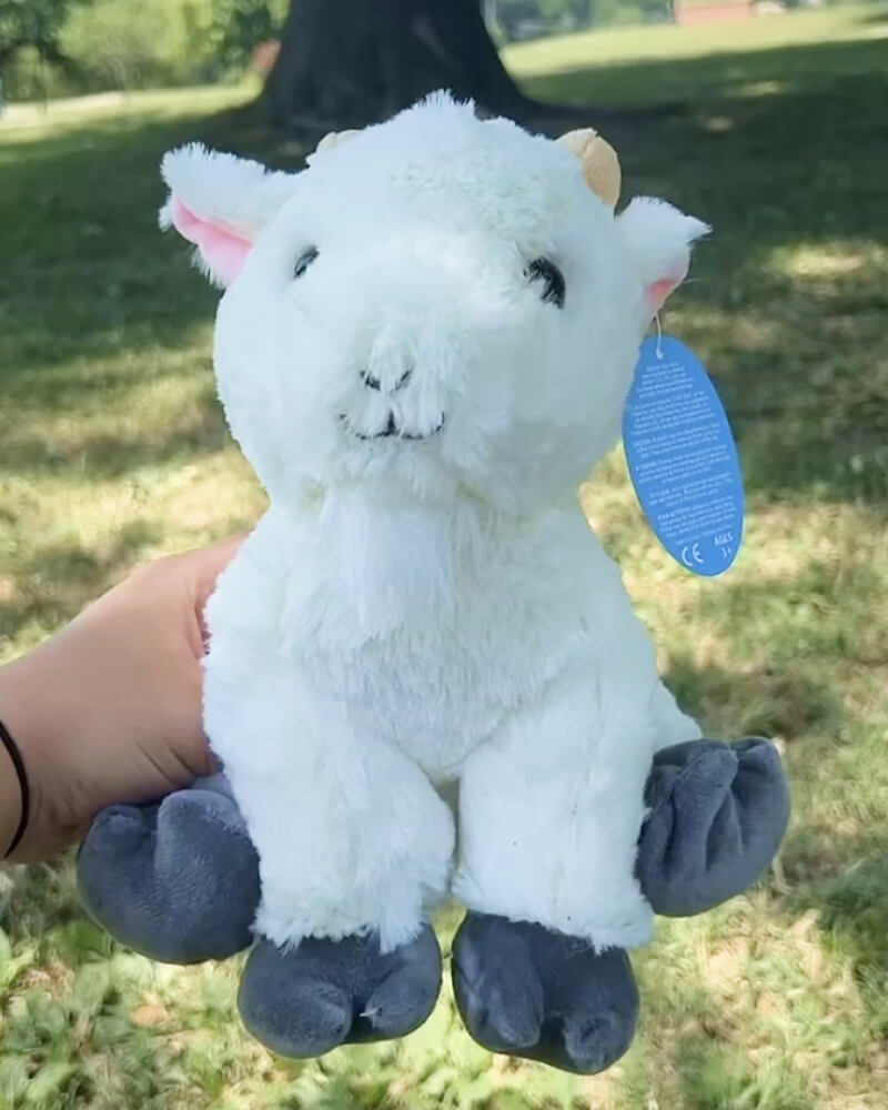 Photo of hand holding white Gus the Goat plushie outdoors