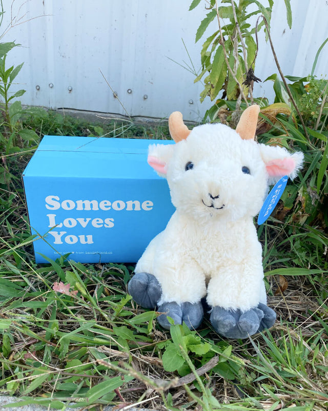 Photo of white Gus the Goat plushie sitting in grass with Someone Loves You box